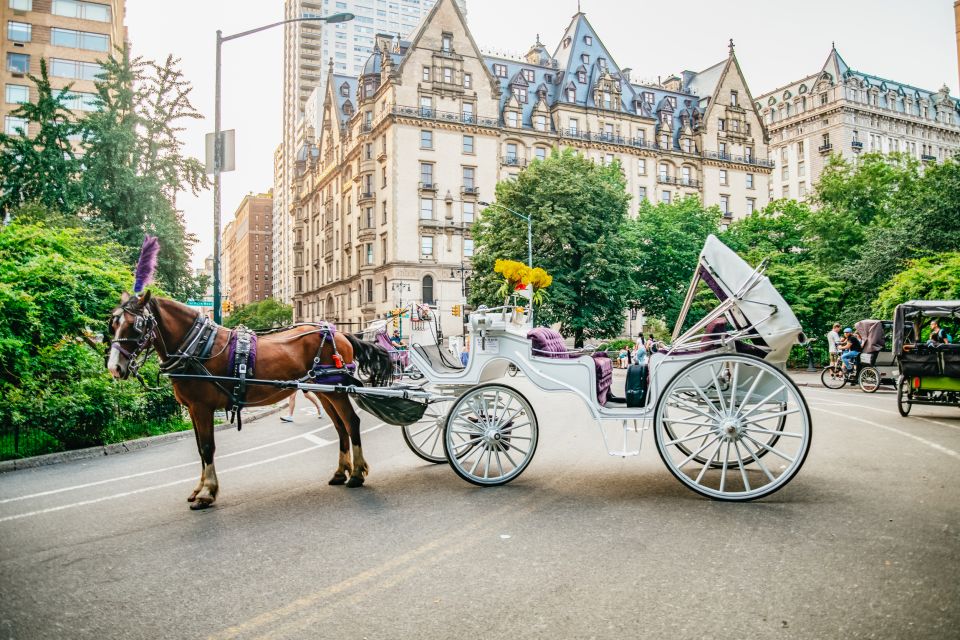 NYC: Guided Central Park Horse Carriage Ride - Tour Inclusions and Exclusions