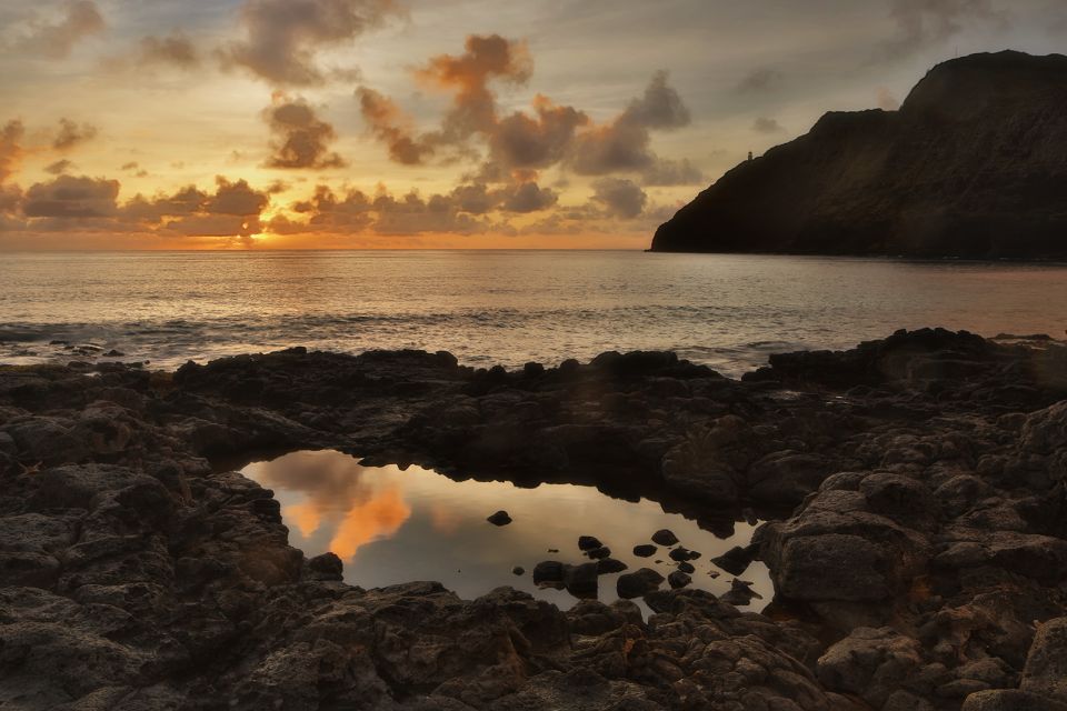 Oahu: Half-Day Sunrise Photo Tour From Waikiki - Ancient Trees and Forests