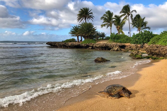 Oahu Island Photography Tour - Tips for a Successful Tour