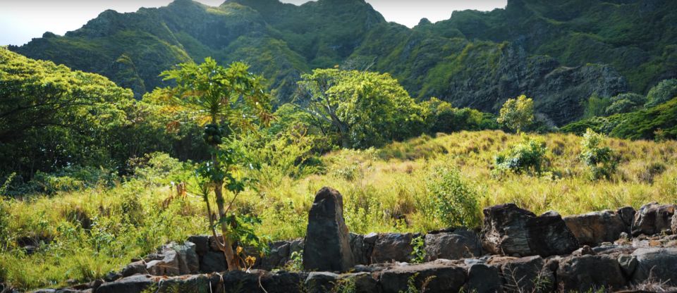 Oahu: Kualoa Open Air Jungle Expedition Tour - Panoramic Landscapes