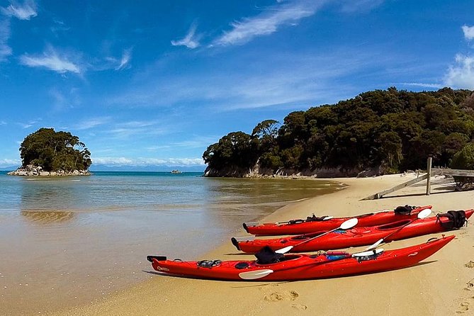 Oarsome Marine Reserve Kayak Tour - Traveler Experiences