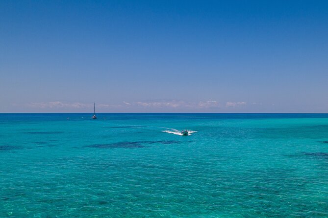 Ocean Free Green Island and Great Barrier Reef Snorkel Cruise - Customer Experiences