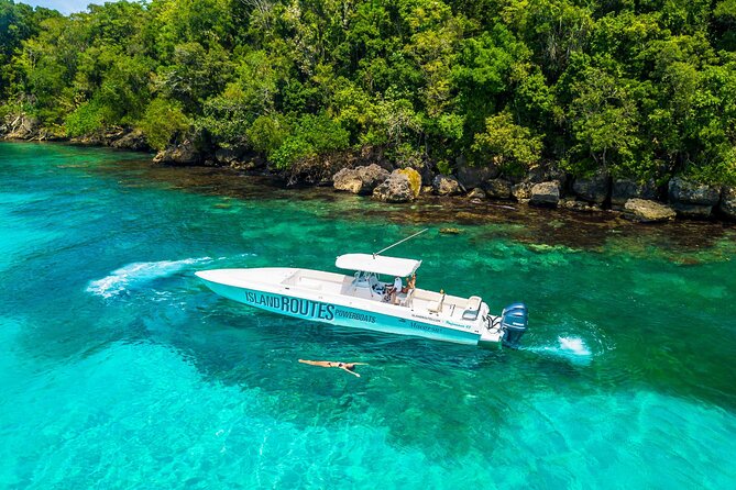 Ocho Rios All-Day Powerboat Adventure - Traveler Requirements