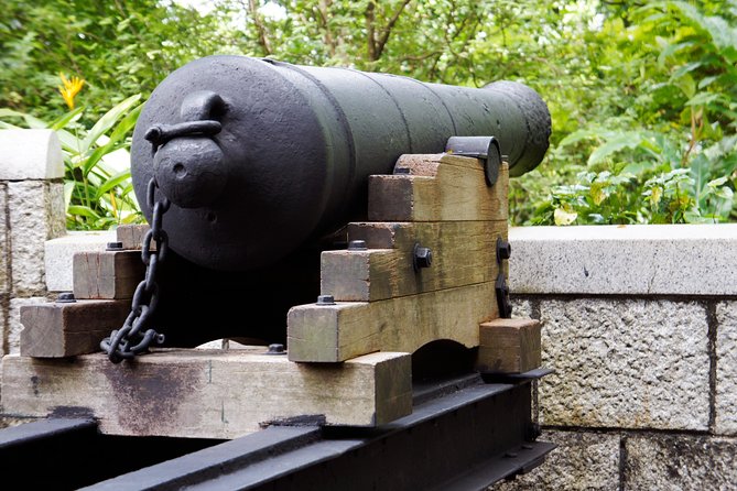 Of Graves, Guns & Battles™: A Tour of Fort Canning Hill - Group Size and Accessibility