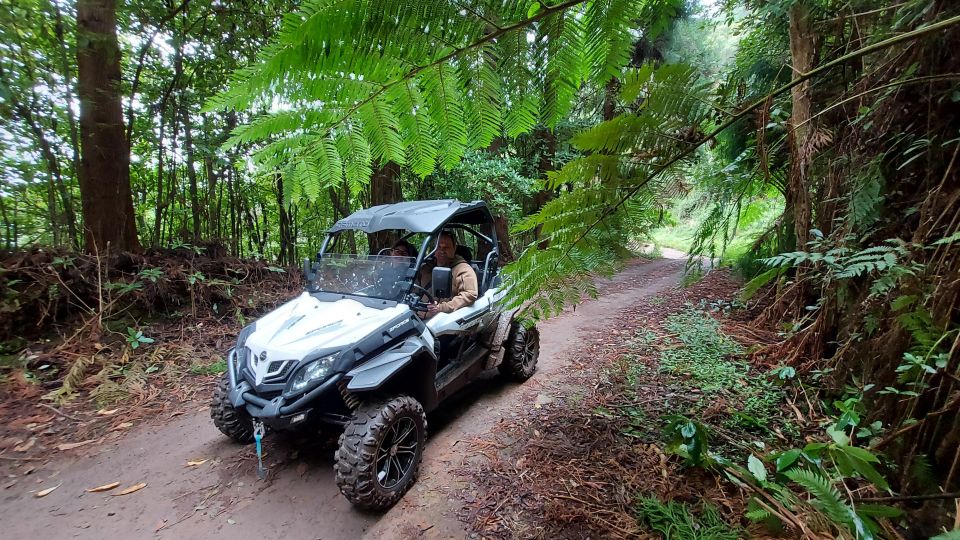 Off-Road Buggy Madeira - Getting There and Arrival