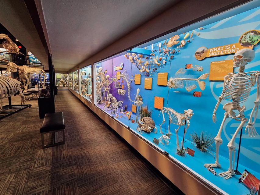 Oklahoma City: SKELETONS: Museum of Osteology Ticket - Interactive Experiences