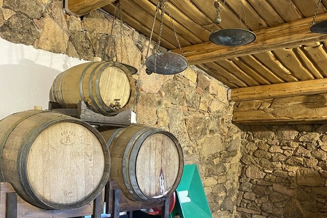 Olbia PASTA CLASS & FOOD EXPERIENCE Within Old Tipycal Village - Unique Aspects of Sardinian Cuisine
