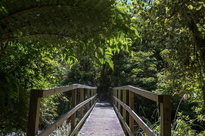 Old Coach Road Self-Guided Bike Tour From Ohakune - Customer Experiences