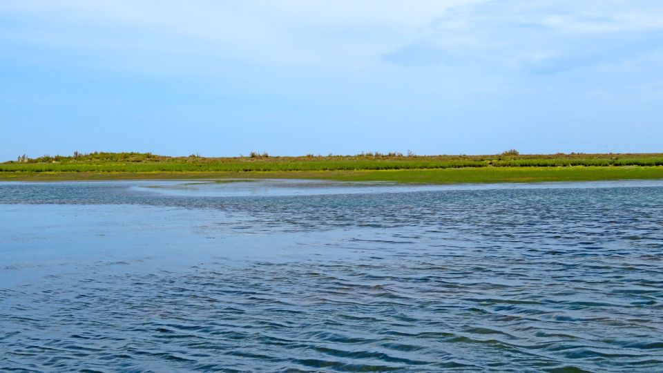 Olhão: 3-Hour Ria Formosa Boat Tour - Booking Details