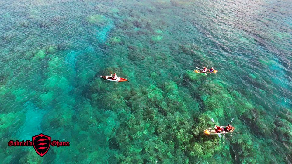 Olowalu: Guided Tour Over Reefs in Transparent Kayak - Learning About the Region