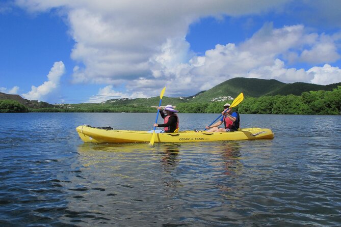 On Your Own: Kayak in the Mangrove Lagoon - Customer Reviews and Experiences