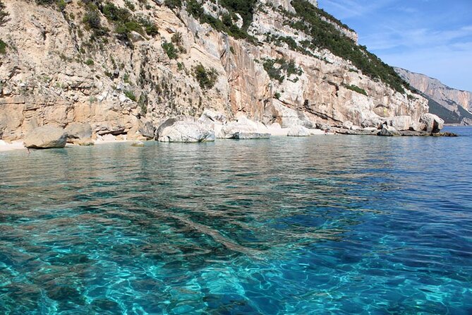 One Day Tour in Rubber Dinghy in the Gulf of Orosei With Skipper - Optional Upgrades and Costs
