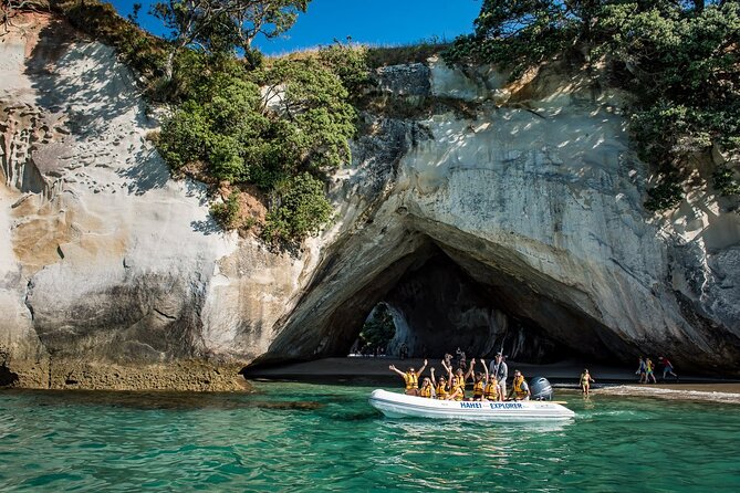 One Hour Cathedral Cove Boat Tour in Hahei - Customer Reviews