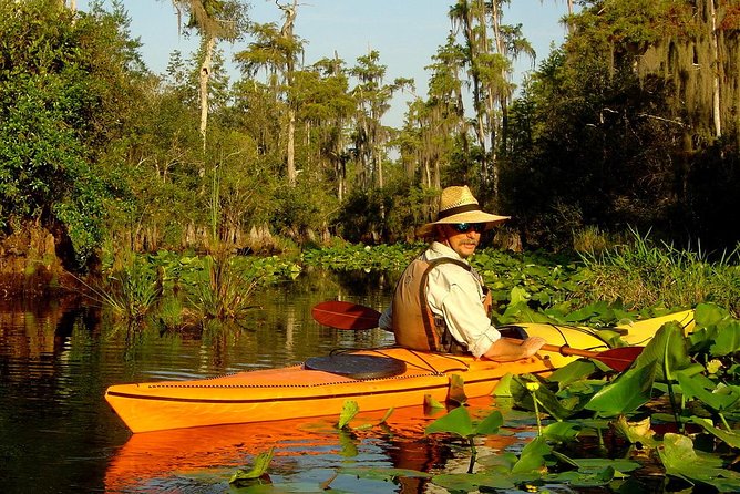 Orlando Manatee Encounters - Preparation and Recommendations