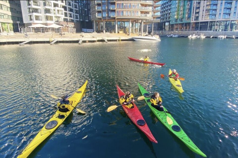 Oslo Kayak Tour “Fjord City” - Accessibility Information