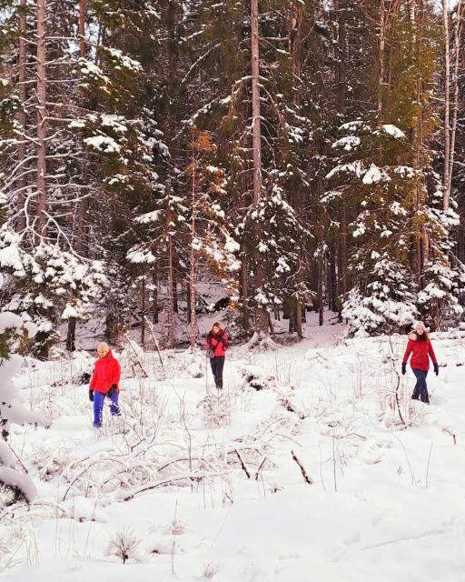 Oslo: Scenic Hike & Norwegian Waffles With a Local & Her Dog - Hiking Route and Requirements