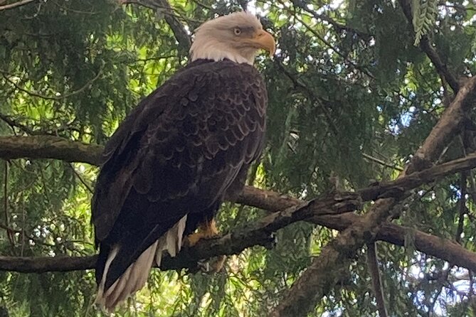 “Over the TOP Tours” City Highlights, Wildlife and More! - Customer Reviews and Feedback