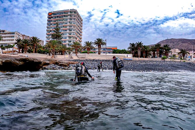 PADI Scuba Diving Courses in Tenerife: All Specialities Until Divemaster - Participant Eligibility