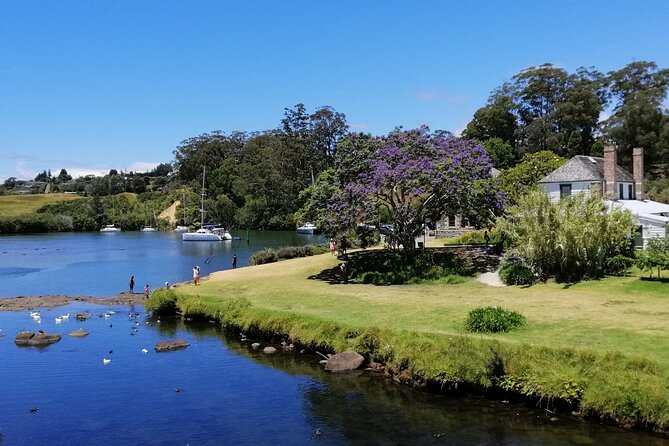 Pahia Shore Excursion: Private Half-Day Bay of Islands Tour - Customer Reviews and Experiences