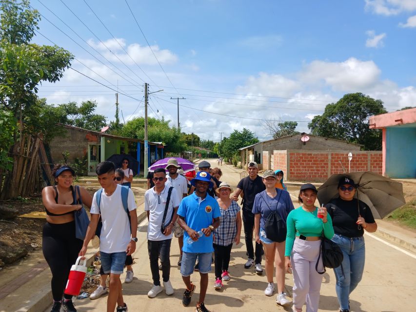 Palenque; Traditional Medicine and House Museum. - Cultural Immersion Activities