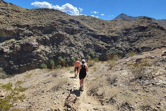 Palm Springs Hike to an Oasis and Amazing Desert Views - Participant Experiences and Feedback