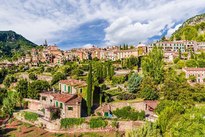 Palma De Mallorca Shore Excursion: Private Tour of Valldemossa, Soller and Serra De Tramuntana - Local Cuisine in Port Soller