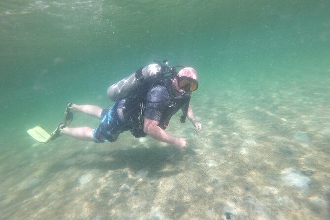 Panama City Scuba Diving Activity for Beginners - Marine Life Exploration