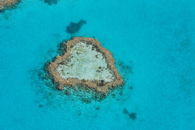 Panorama: the Ultimate Seaplane Tour - Great Barrier Reef & Whitehaven Beach - Meeting and Pickup Details