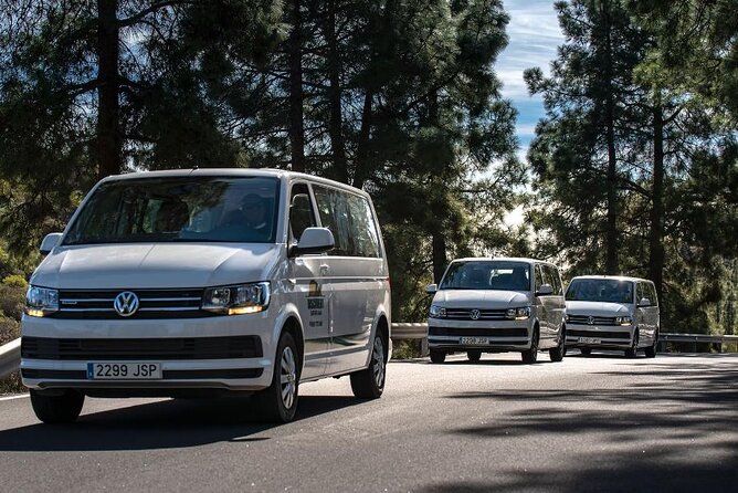Panorama VIP Tour in Gran Canaria - Traveler Experiences