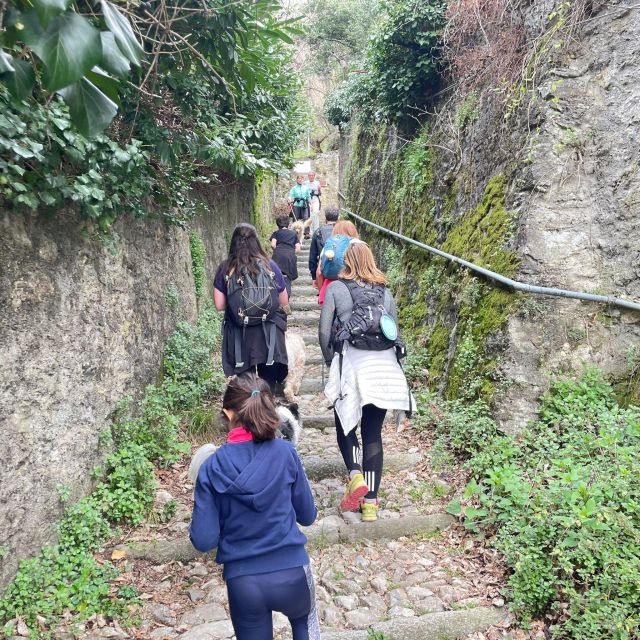 Panoramic Hike Como to Brunate: Lunch With Breathtaking View - Fitness Requirements