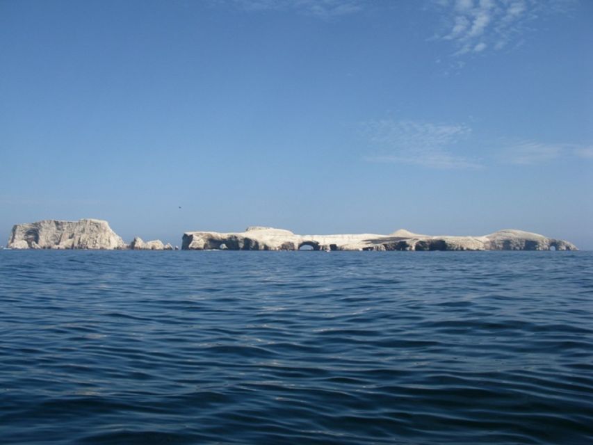 Paracas: Ballestas Islands Boat Ride Tour - Itinerary Details