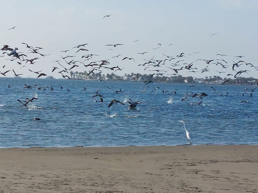 Paracas: Paracas National Reserve Half Day Tour - Important Information