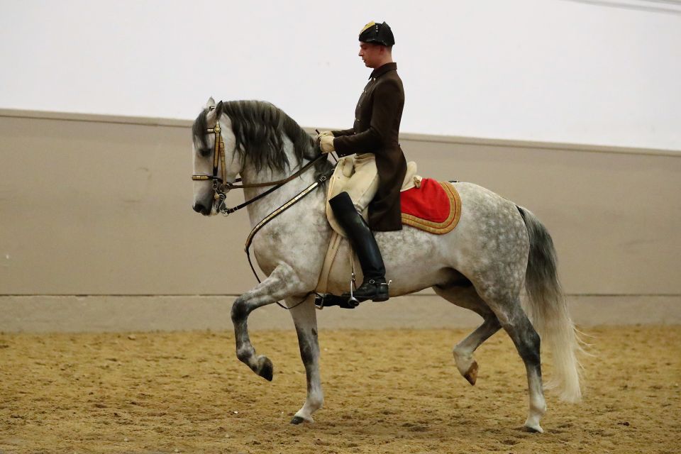 Performance Of The Lipizzans At Spanish Riding School - Historical Significance of the School