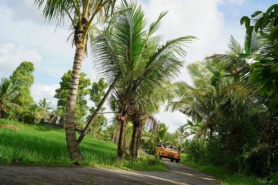 Pesagi: Exploring The Hidden Gems Of West Bali With VW Thing - Breathtaking Rice Terraces and Balinese Lunch