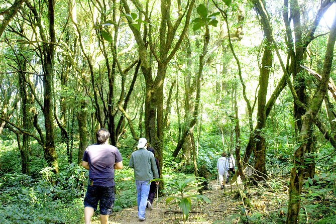 Pha Dok Siew Nature Trail & Doi Inthanon National Park From Chiang Mai - Child Policy and Age Restrictions