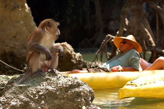 Phang Nga Bay Starlight by John Gray Sea Canoe - Meeting and Pickup Information