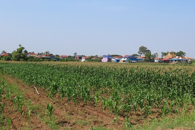 Phnom Penh Countryside Cycle Tour - Health and Safety Guidelines