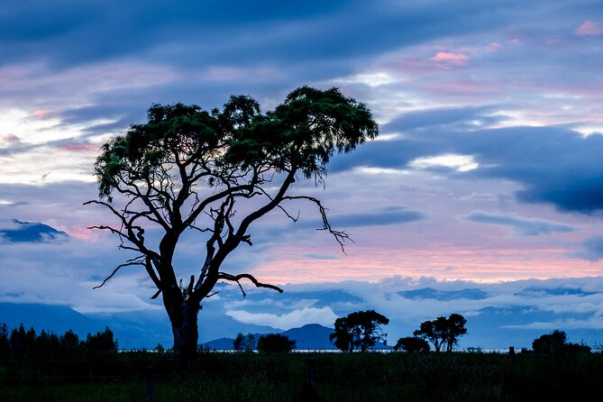 Photography Tour From Queenstown to Glenorchy - 1/2 Day - Pricing Information and Cancellation Policy