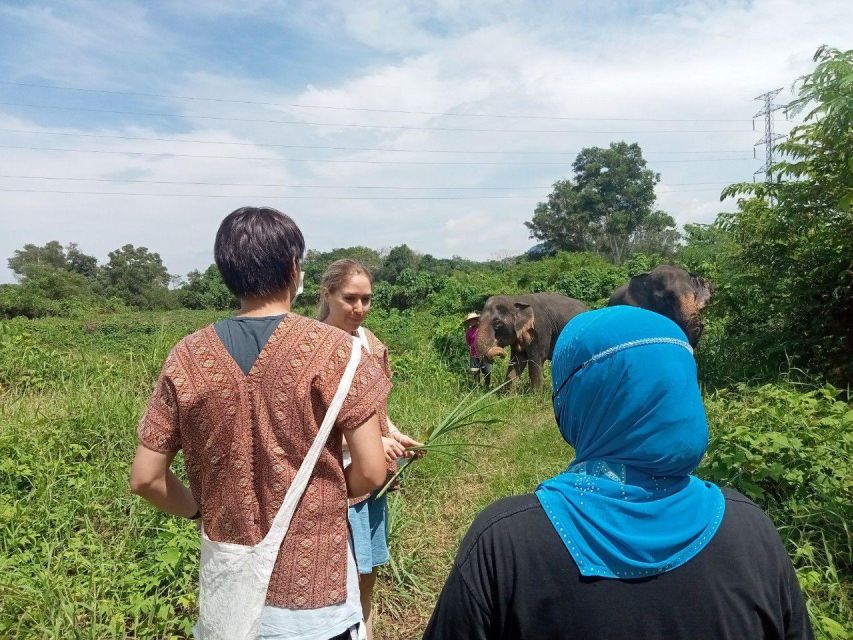 Phuket: Ethical Elephant Sanctuary Eco Guide Walk Tour - Cancellation Policy and Refund