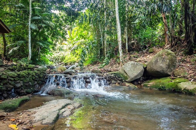 Phuket Jungle Trekking Experience at Khao Phra Taew National Park - Traveler Feedback