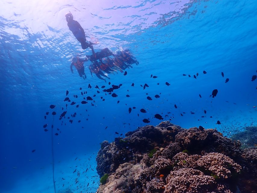 Phuket: Similan Island Snorkeling Adventure Full Day Tour - Booking Information