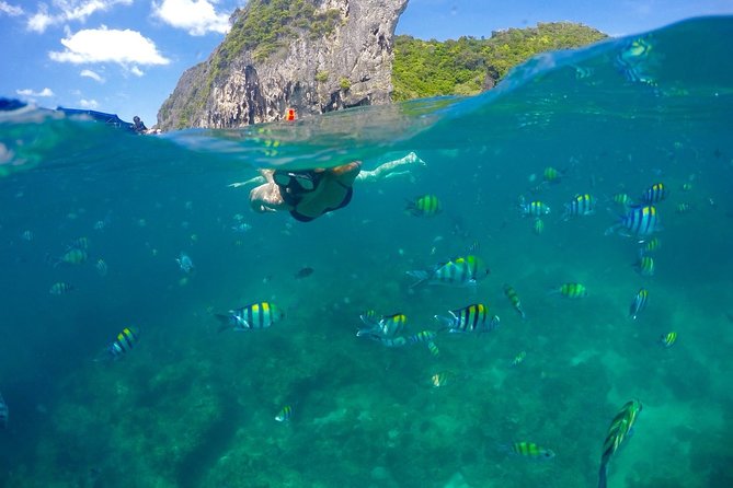 Phuket to Phi Phi Islands by Express Ferry Including Lunch - Snorkeling Experience