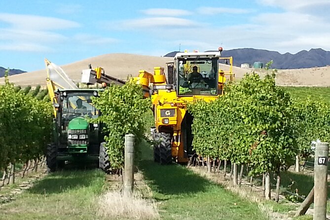 Picton Shore Excursion Marlborough Wine Region Small-Group Tour - Wine Tasting Highlights