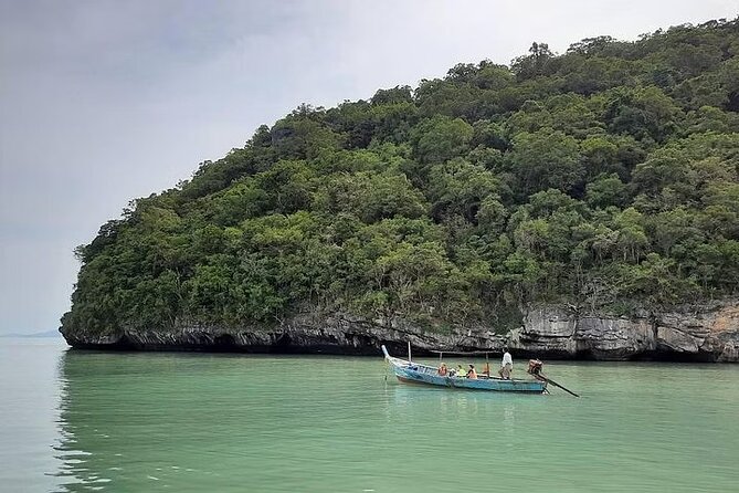 Pig Island ,Snorkeling, Private Long Tail Boat (Local Thai Experience) - Accessibility Information