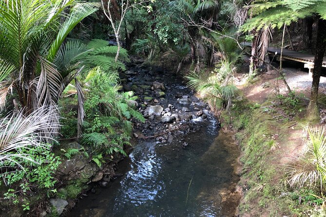 Piha Beach - Exploring Nearby Attractions