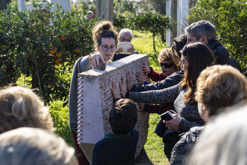 Pinuccio Sciola Museum: Sound Garden Guided Tour - Recap