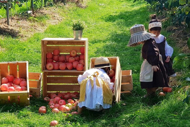 Pocheon Seasonal Fruit Picking & Exploration Day Tour (EG Tour) - Cancellation Policy