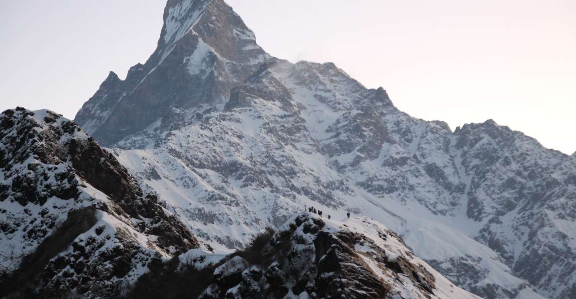 Pokhara: 5-Day Mardi Himal Guided Trek - Customer Reviews