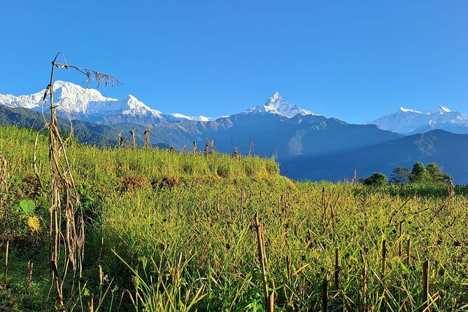 Pokhara: Easy Day Hike to Australian Camp & Dhampus Village - What to Expect
