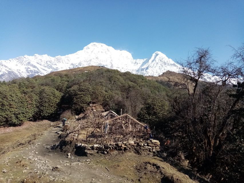 Pokhara: Mardi Himal Base Camp 4500 Meters - Booking Your Adventure